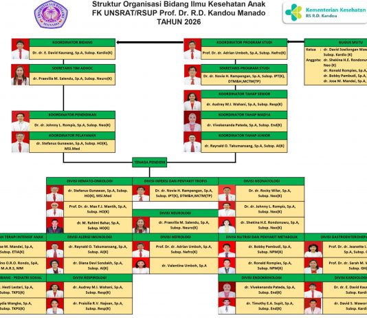 STRUKTUR ORGANISASI